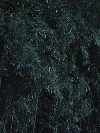 ศึกรักบัลลังก์เลือด - Episode 60