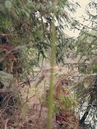 Tập 7 - Chồng Thổ Phỉ Hóa Vương Gia