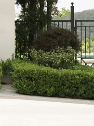 Nach 30 Jahren des Schlafs knien meine Brüder für mich - Episode 1