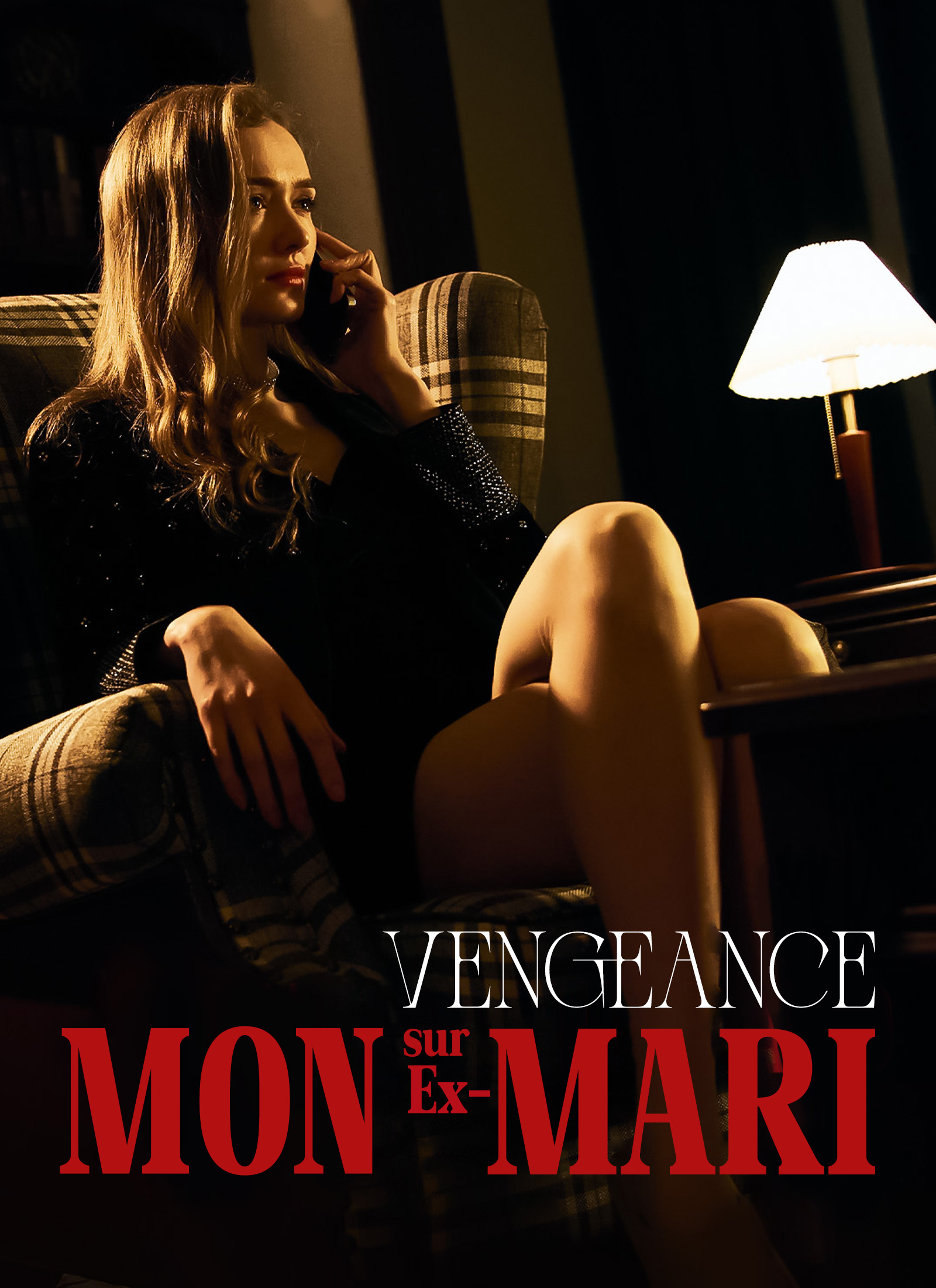 Couverture de Vengeance sur mon ex-mari