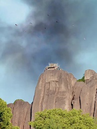 第78集 - 下凡福星旺全家