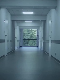 ตอนที่ 41 - น้องสาวหลับใหล 30 ปี พี่ชายต้องชดใช้