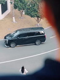 25화 - 정원의 따뜻한 햇살