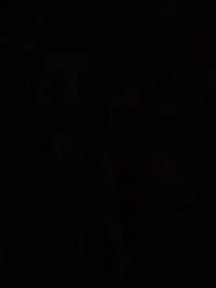 Episodio 27 - [Doblado]La Ascensión