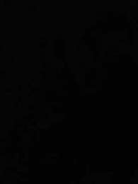 Episodio 61 - [Doblado]La Ascensión