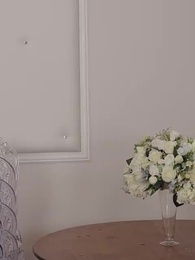 Episódio 11 - Guia da Alfa para Domesticação