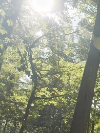 Baciami, mio predestinato. - Episode 32