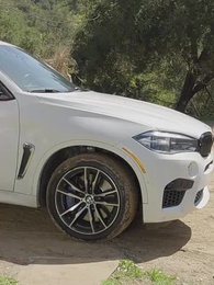 Episódio 21 - Guia da Alfa para Domesticação