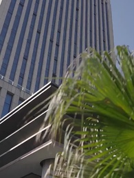 Rache an meinem Ex-Mann - Episode 80