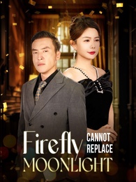 The Firefly Cannot Replace the Moonlight