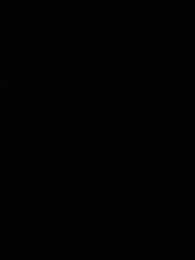 [Doblado]La Ascensión - Episode 95