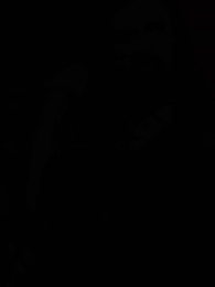 Episodio 28 - [Doblado]La Ascensión