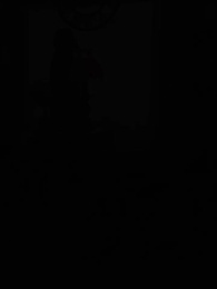 Episodio 53 - [Doblado]La Ascensión