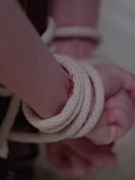 Episodio 66 - Baciami, mio predestinato.