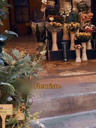 Épisode 4 - Séparés mais inséparables