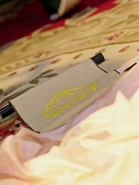 第23集 - 去時猶恨今長離