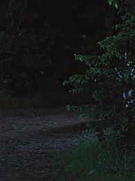 第26集 - 絕世大宋逍遙王