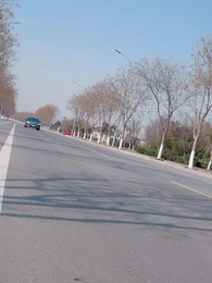 Tập 48 - Cách Sinh Tồn Khi Xuyên Sách