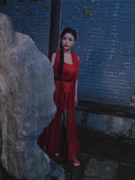 第20集 - 絕世大宋逍遙王