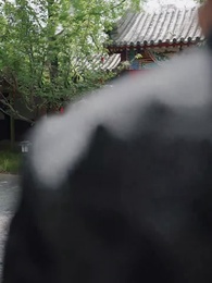 第7集 - 兒子帶我當大佬