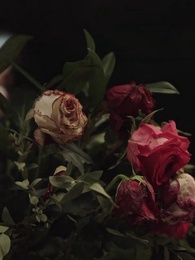 Episode 25 - Pregnant by the Luxury Empire Heir