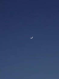 Pregnant by the Luxury Empire Heir - Episode 28