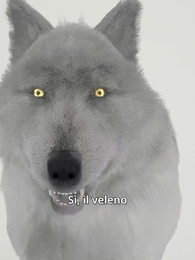 Surrogata del Presidente Alpha - Episode 57