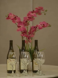 Episodio 34 - Surrogata del Presidente Alpha