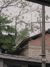 第11集 - 八零小嬌妻