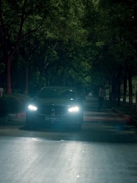 Episódio 49 - Não Volto Mais