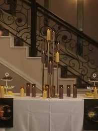 Episodio 36 - Surrogata del Presidente Alpha