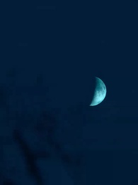 第52集 - 閃婚後，傅先生乖乖寵我