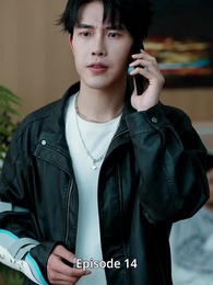 Tesoro, Sto per Sposarmi - Episode 14