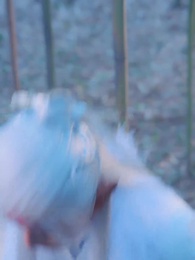 第3集 - 三生三世仙凡情緣