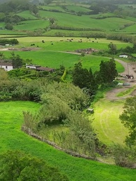 Surrogata del Presidente Alpha - Episode 24