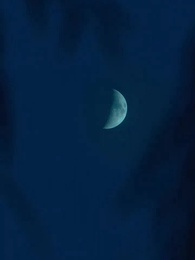 第50集 - 閃婚後，傅先生乖乖寵我