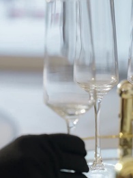 Episode 9 - Pregnant by the Luxury Empire Heir