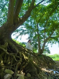 誅天大主宰 - Episode 5