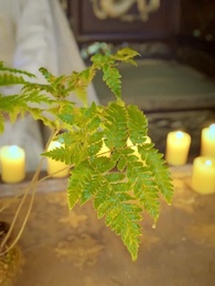 第33集 - 誅天大主宰