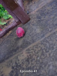 Más Allá del Cielo - Episode 41