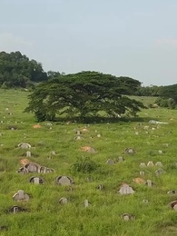 Nunca Mais Serei Sua - Episode 58