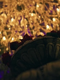 Surrender to My Mob Lover - Episode 38