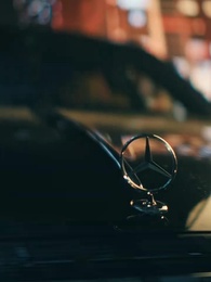 Surrender to My Mob Lover - Episode 40