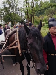 第8集 - 攻略女帝：縣令也瘋狂