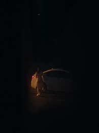 Surrender to My Mob Lover - Episode 32