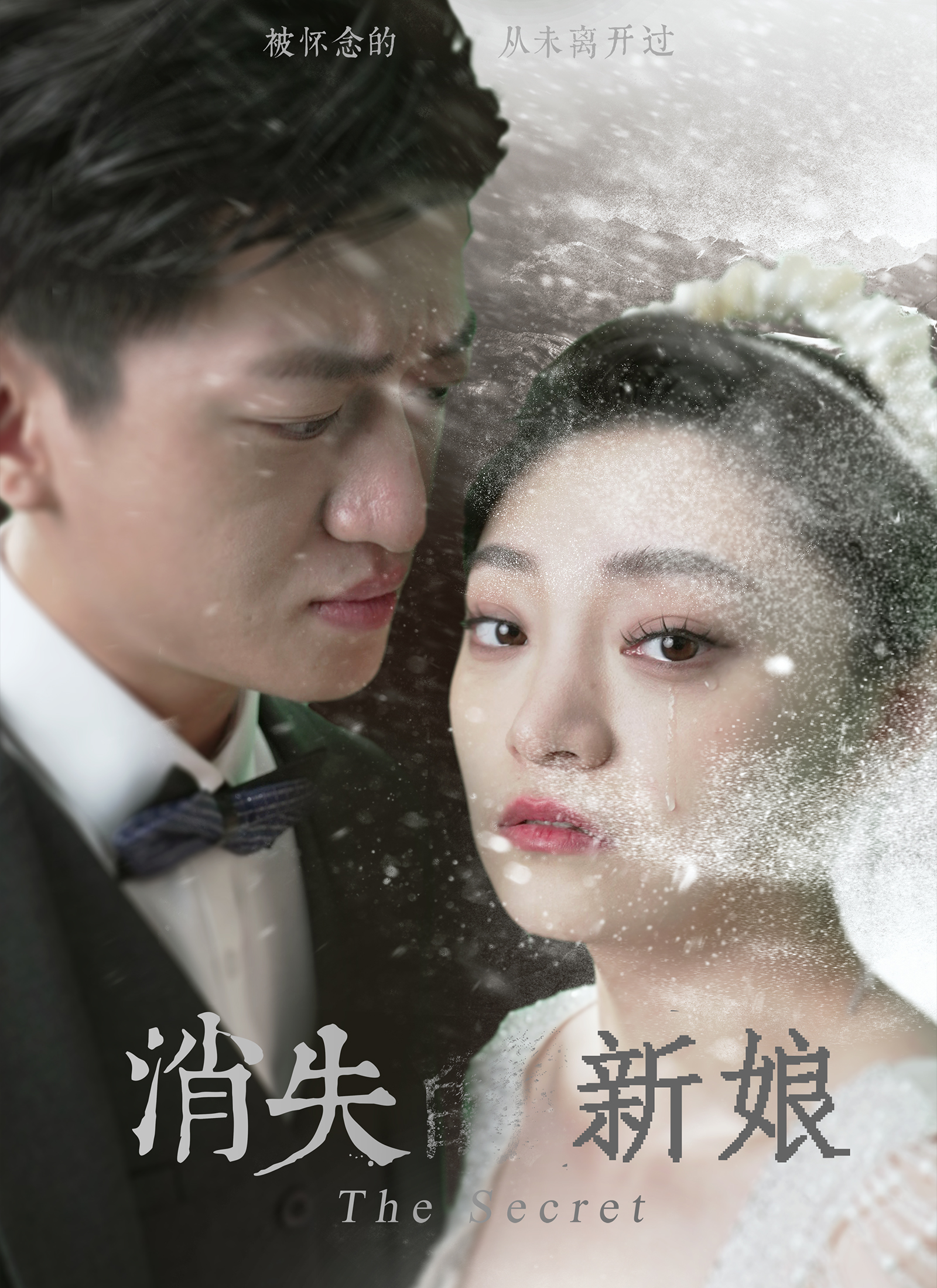 《消失的新娘》封面