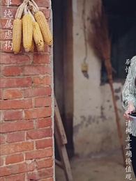 第62集 - 重拾1998