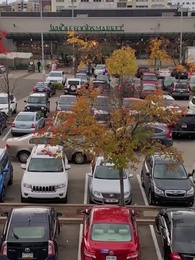 Episódio 44 - Nunca Mais Serei Sua