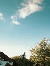 Episode 90 - Süße Wiedergeburt, schicksalhafte Rache