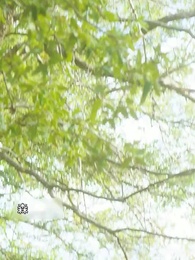 第1話 - [吹替]番から始まる愛